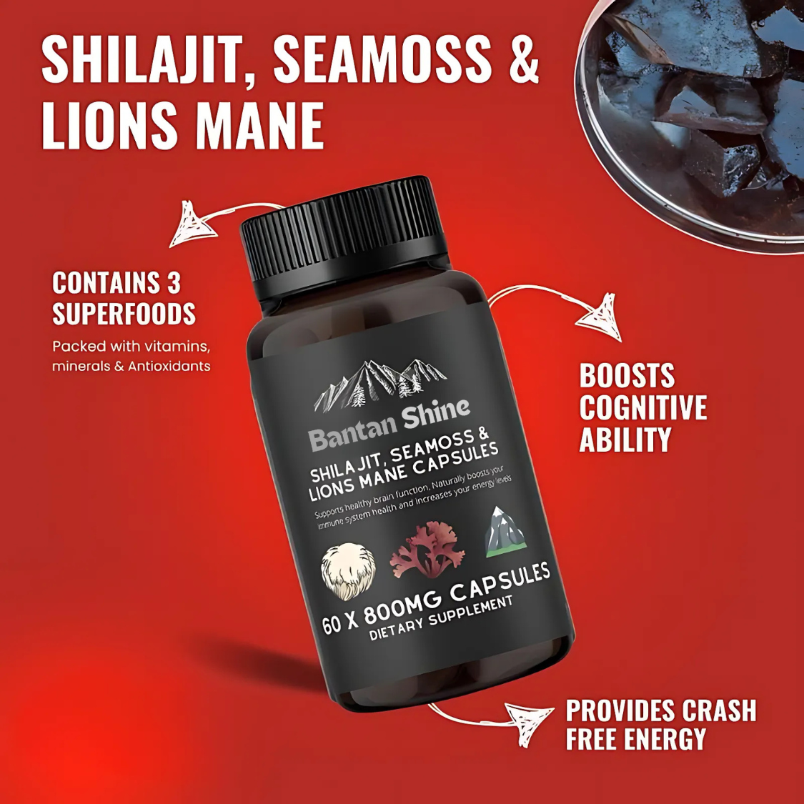 Shilajit, SeaMoss and Lions Mane Capsules - 60 Capsules - Vegan