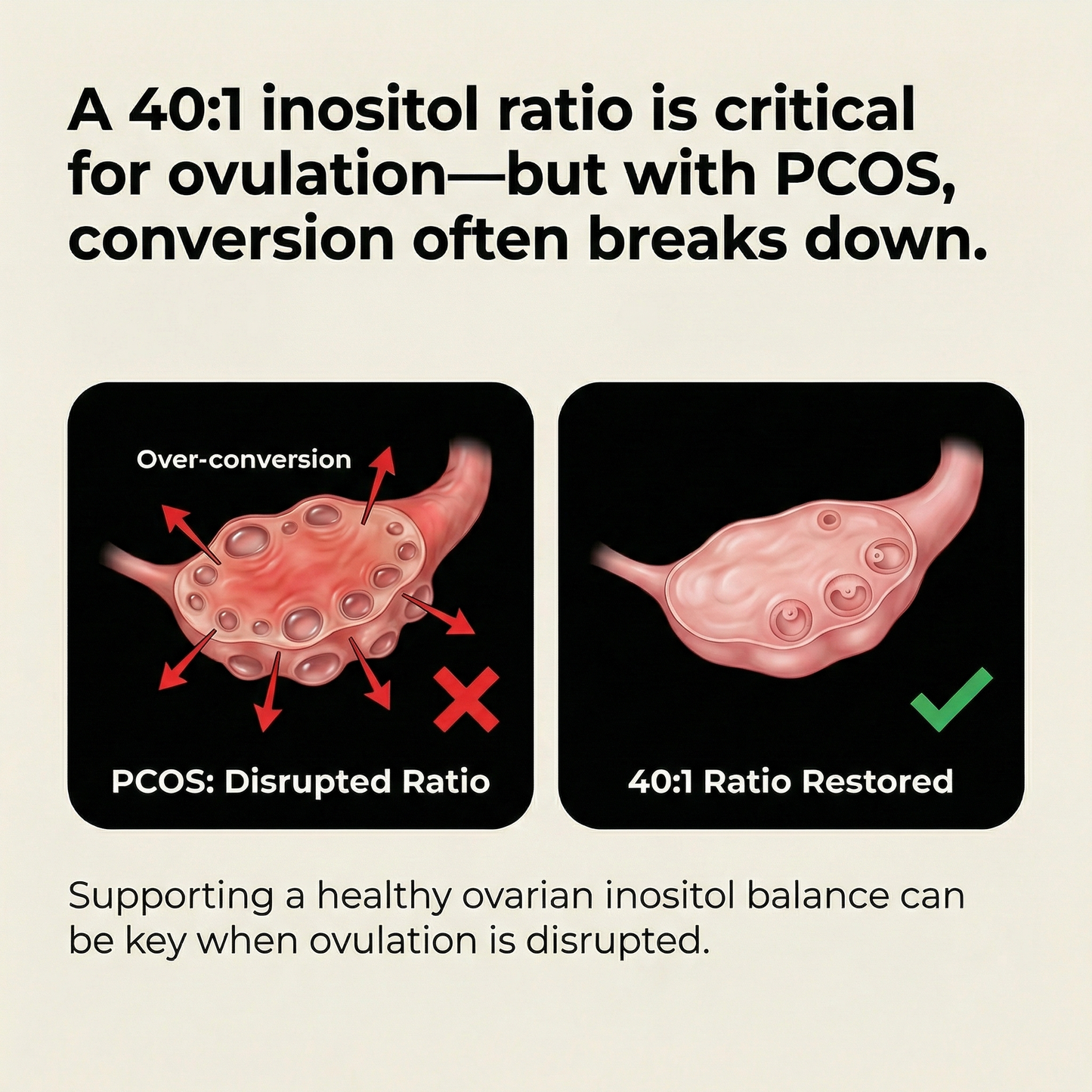 Truth™ PCOS Balance Support