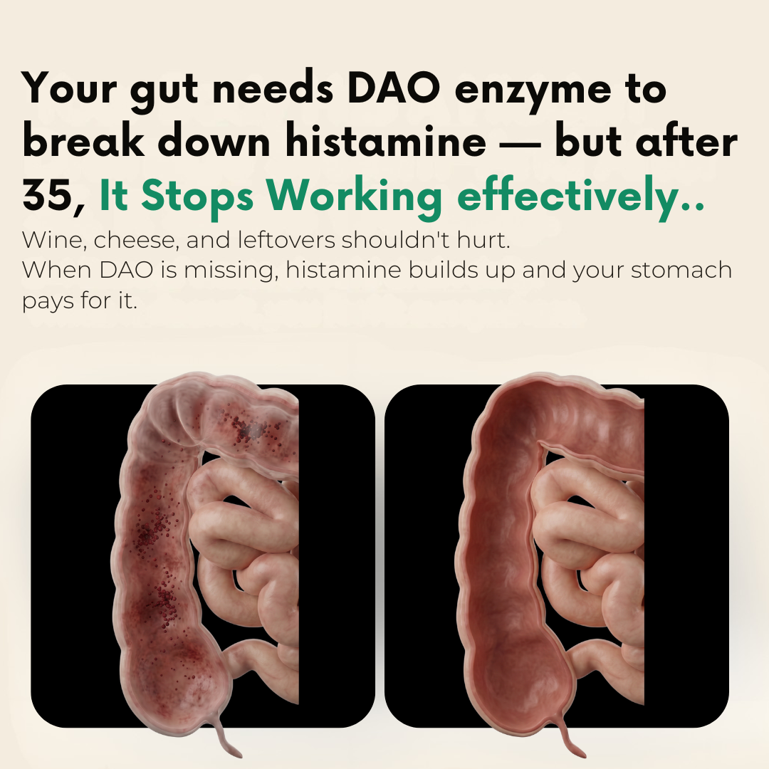Truth™ Dao Enzyme Formula